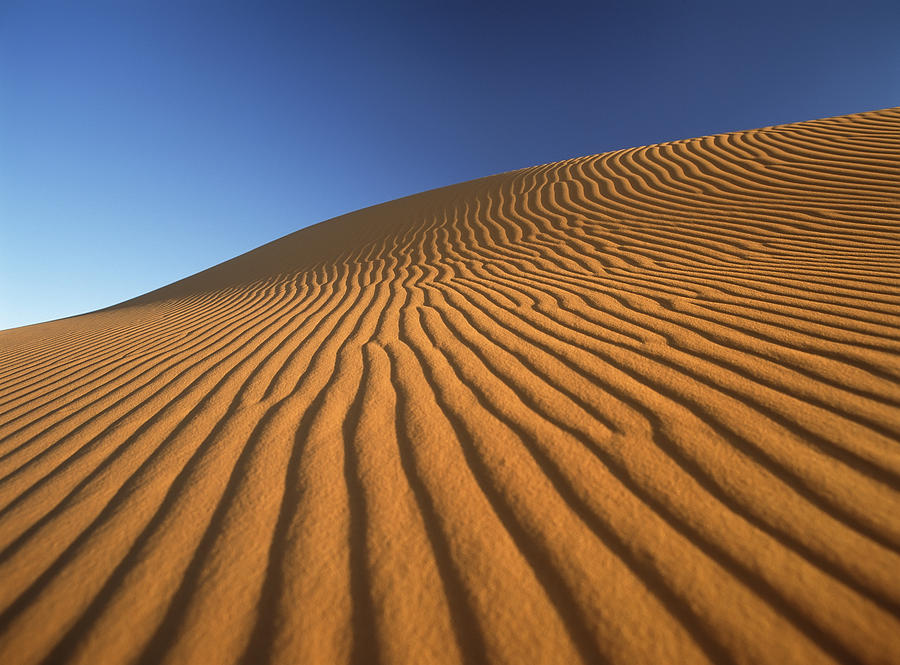 Fantasy Photograph - Morocco, Detail Of Sand Dune At Dawn by Ian Cumming