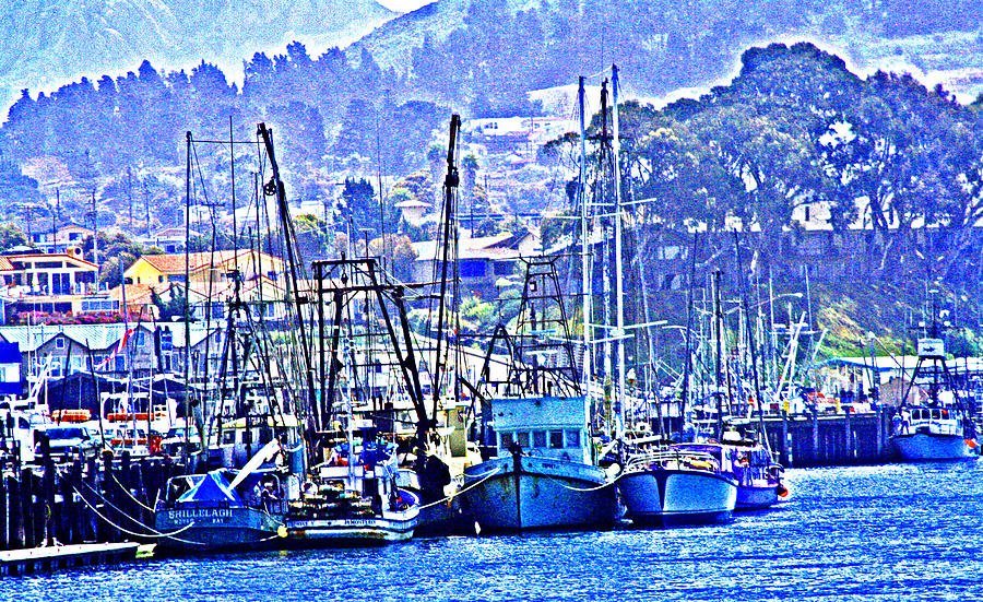 Morro Bay Boats at Dock Photograph by Joseph Coulombe