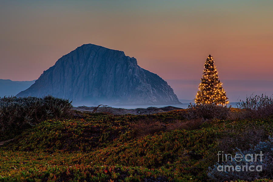 Morro Bay Sunset And Christmas Tree Photograph by Mimi Ditchie
