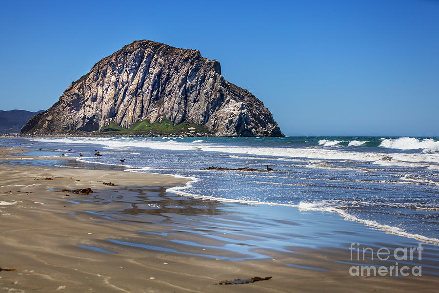 Morro Rock Photograph by David Millenheft