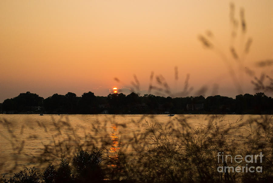 Morse Lake Seaoats Sunset Photograph by Amy Lucid