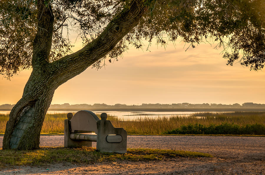 Morse Park Landing Photograph by Donnie Bagwell