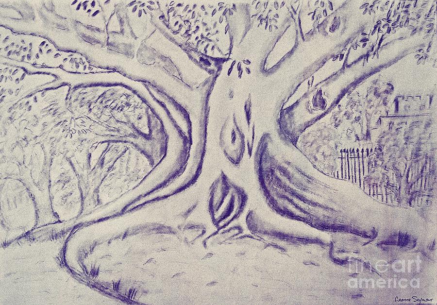 Morton Bay Tree Drawing by Leanne Seymour