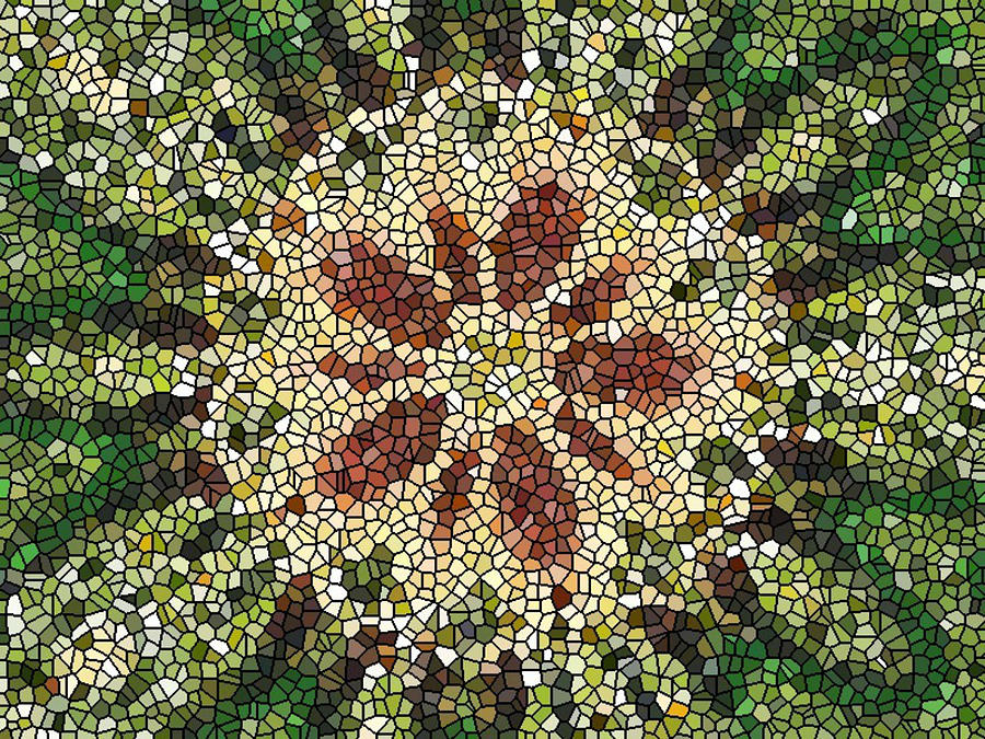 Mosaic in green Photograph by Rumiana Nikolova