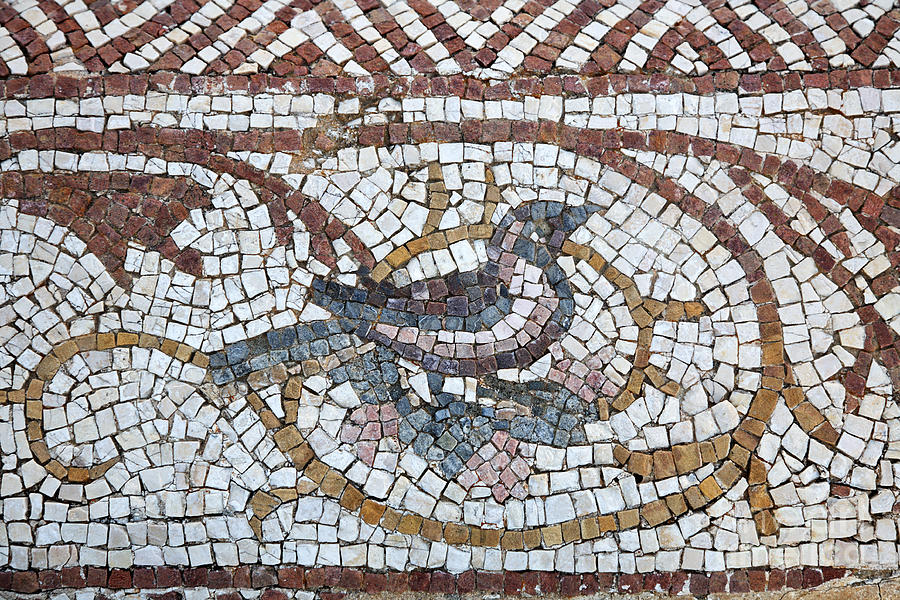 Mosaic of a bird at the Villa of Silin near Leptis Magna in Libya ...