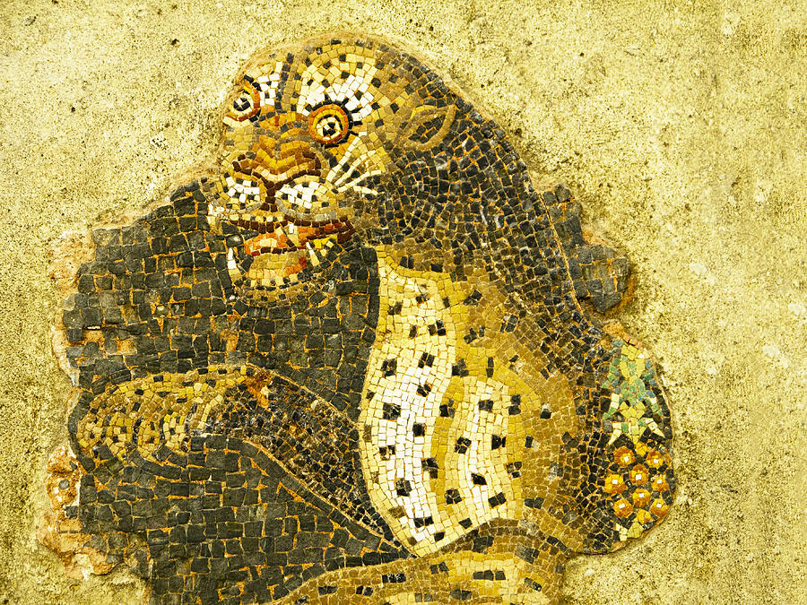 Mosaic of Leopard on island of Delos Greece Photograph by Brenda Kean