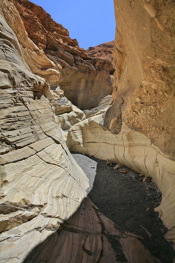Nature Photograph - Mosaic Slot Canyon by Michael Szoenyi/science Photo Library