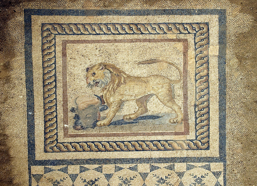 Mosaic Tile Floor, Ephesus Photograph by Theodore Clutter