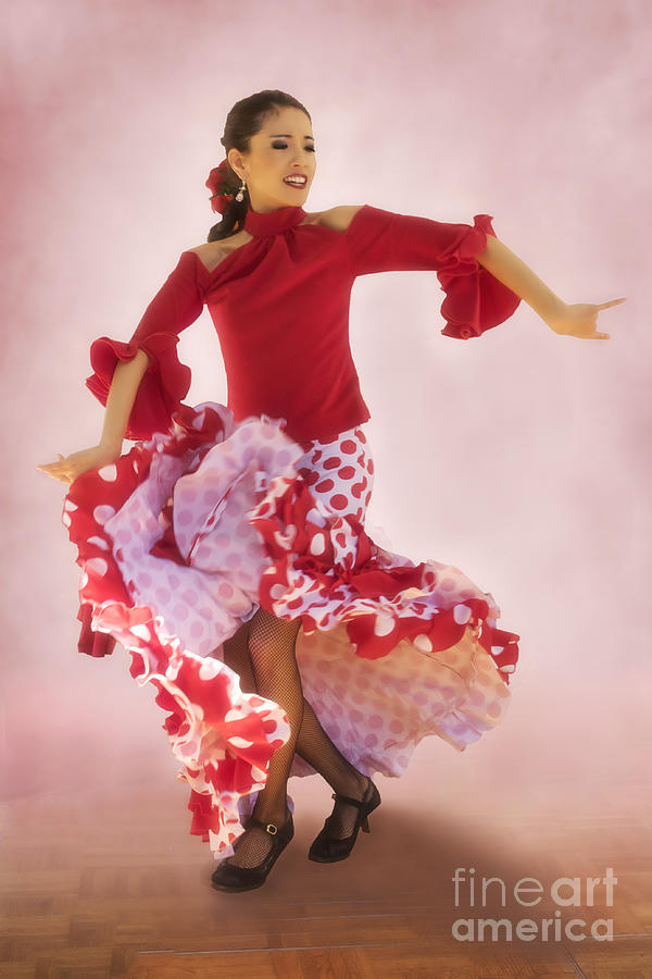Mosaico Flamenco at Tlaquepaque Photograph by Priscilla Burgers