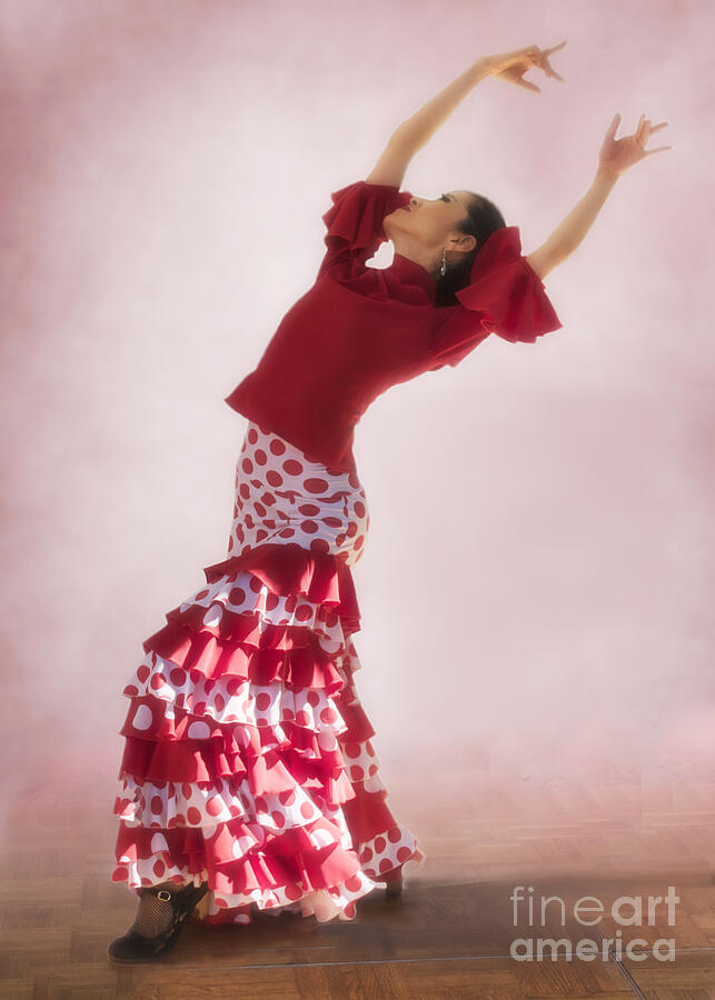 Mosaico Flamenco Dancer Photograph by Priscilla Burgers