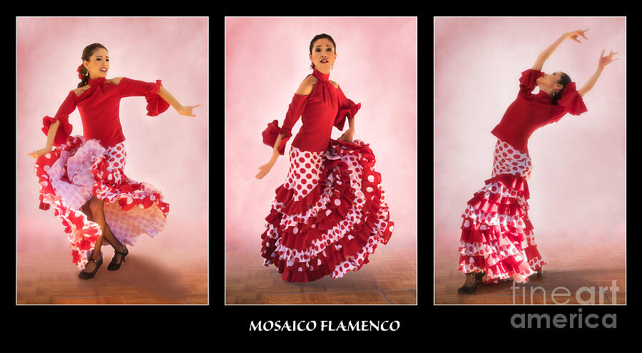 Flamenco Dancer Photograph - Mosaico Flamenco by Priscilla Burgers