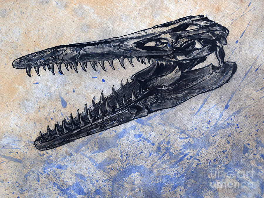 Dinosaur Digital Art - Mosasaurus Dinosaur Skull by Harm Plat