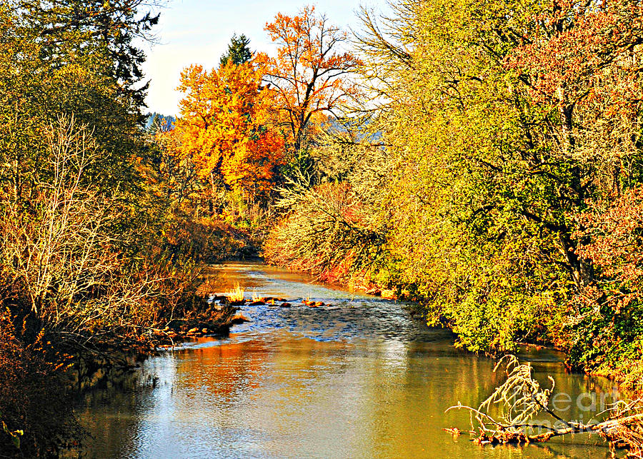 Mosby Creek in Fall Photograph by Mindy Bench
