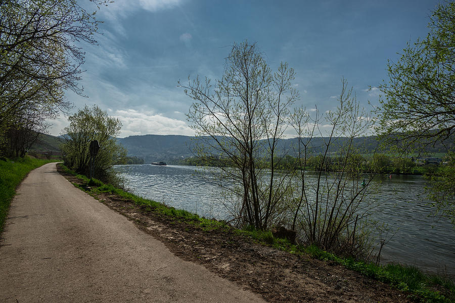 Moselle River Photograph