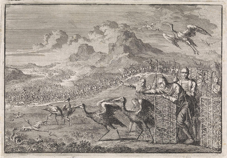 Moses Drawing - Moses Dispels The Snakes By Releasing Ibises by Jan Luyken And Pieter Mortier