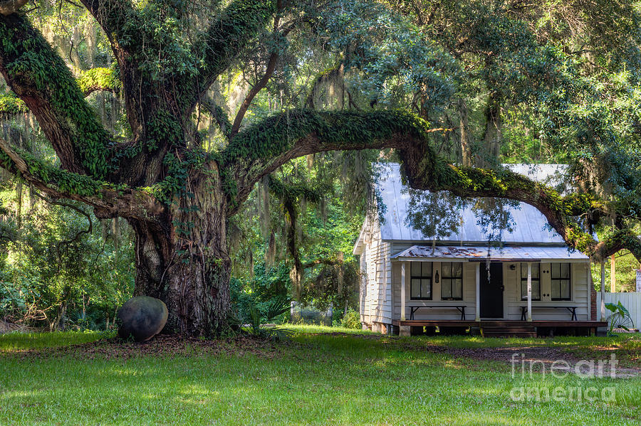 Moses Ficklin Cottage Daufuskie Island South Carolina Photograph by Dawna Moore Photography