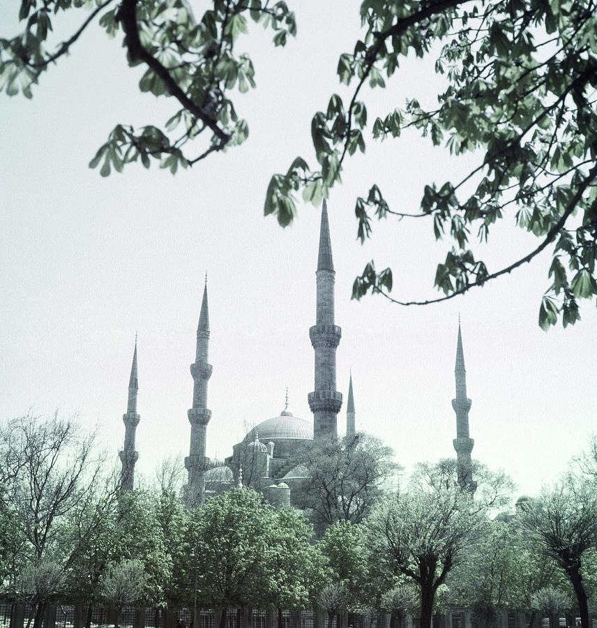 Mosque Behind Trees In Turkey Photograph by Horst P. Horst