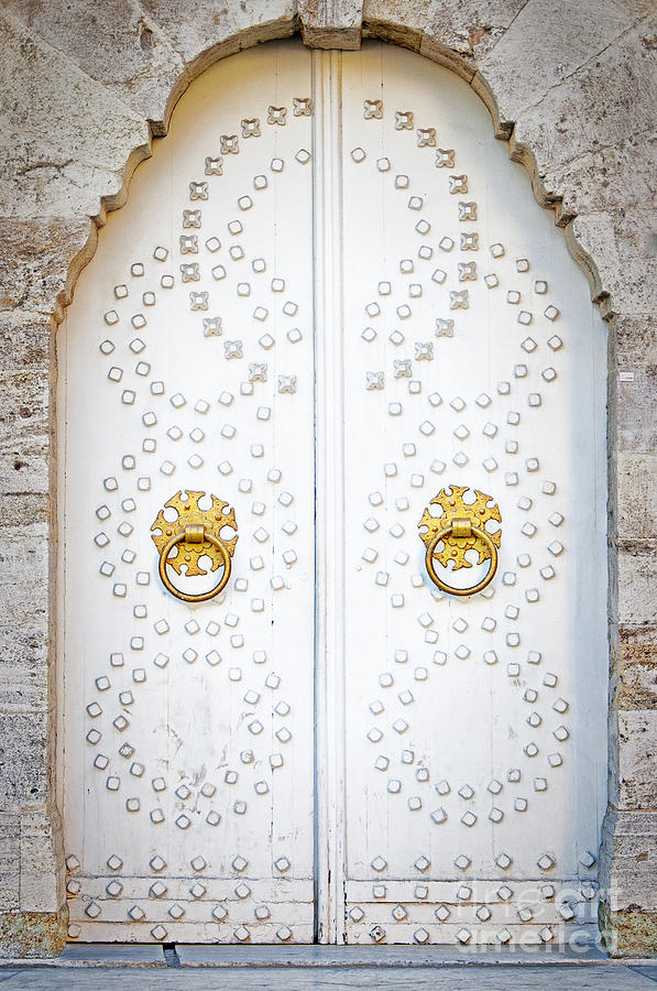 Mosque doors 14 Photograph by Antony McAulay