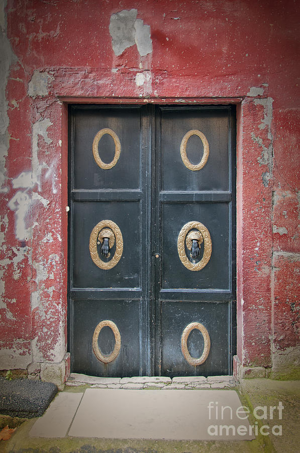 Mosque doors 16 Photograph by Antony McAulay