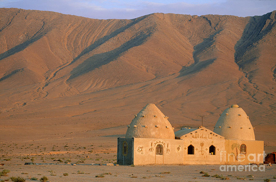 Mosque Near Palmyra, Syria Photograph by Adam Sylvester