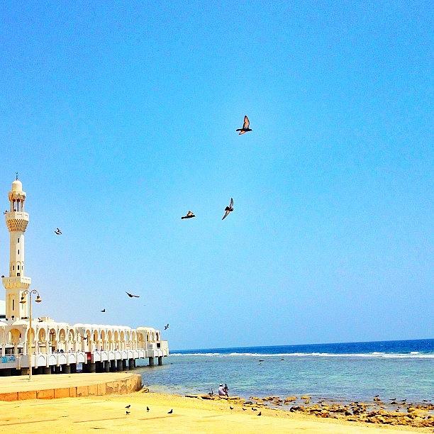 Mosque On The Edge Of The Red Sea Photograph by Sigit Pamungkas