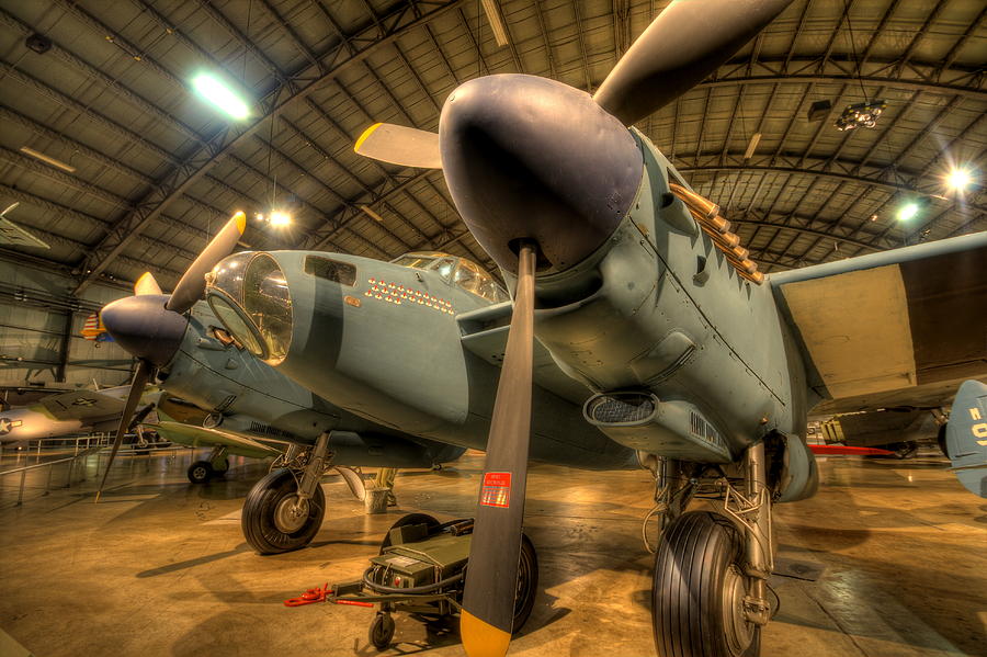Mosquito Photograph by David Dufresne