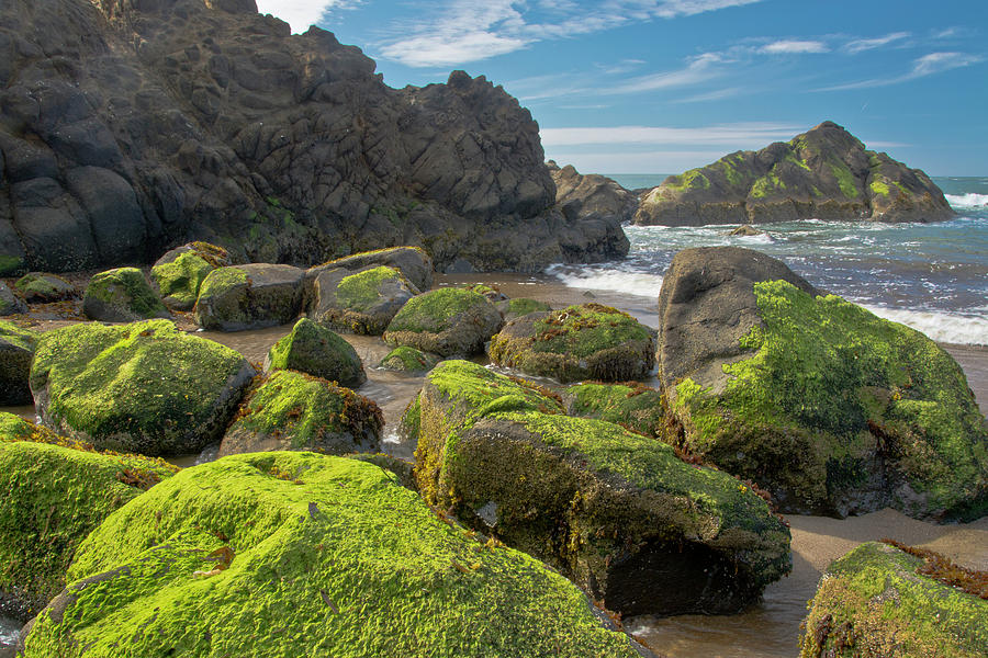 Landscape Photograph - Moss-covered Rocks, Fogarty Creek State by Michel Hersen