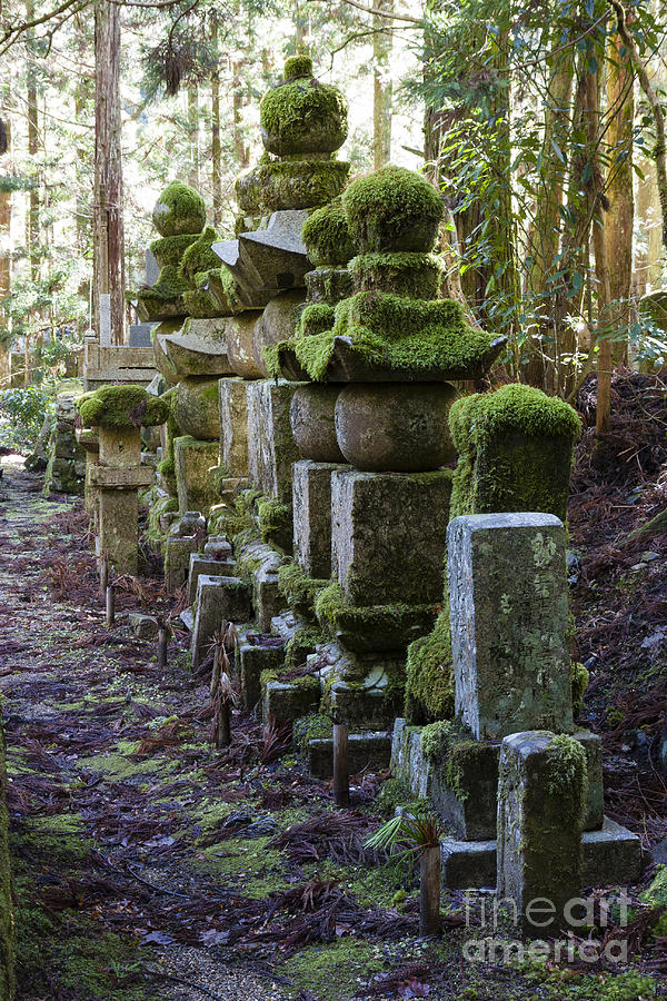Mount Koya Photograph - Moss covered stone gravestones by Malcolm Fairman