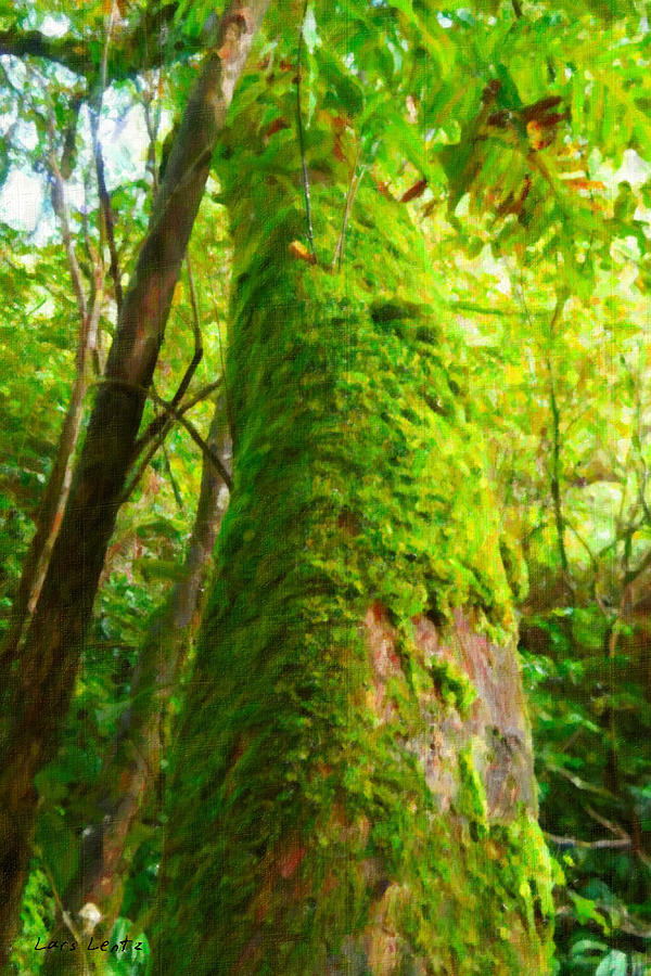Moss-covered Tree in the Tropical Rainforest Painting by Lars Lentz