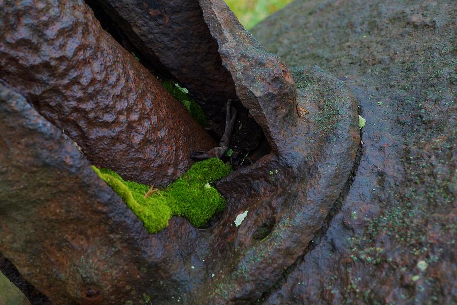 Moss Covered Turbine Photograph by Photographic Arts And Design Studio