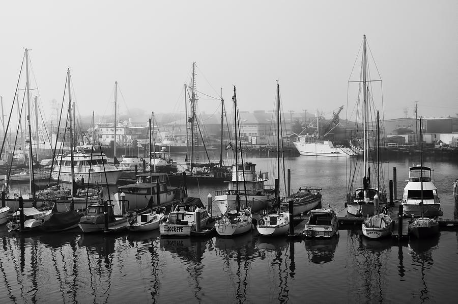 Moss Landing Harbor Photograph by Mick Burkey