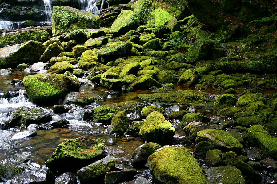 Moss Rocks and River Photograph by Raymond Salani III - Pixels