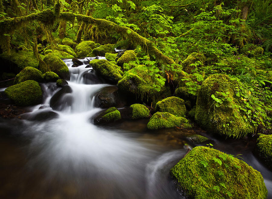 Waterfall Photograph - Mossy Arch Cascade by Darren White