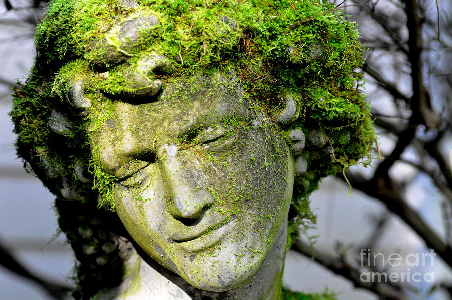 Mossy Bacchus Sculpture in Winter Sun Photograph by Tatyana Searcy