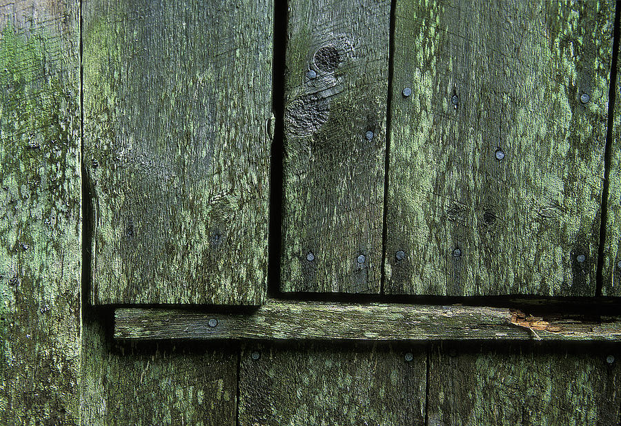 Mossy Barn Door Photograph by Laura Tucker