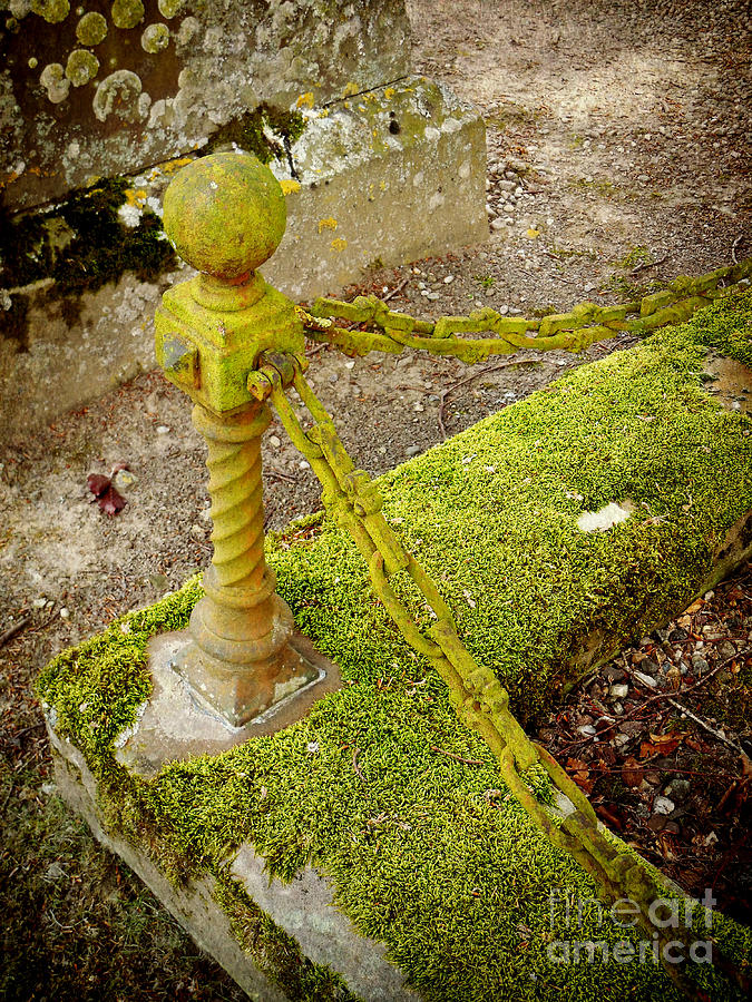 Mossy Chain Photograph by Valerie Reeves