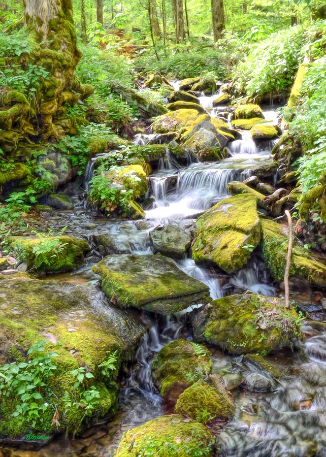 Mossy Creek Digital Art by Bob Jackson - Fine Art America