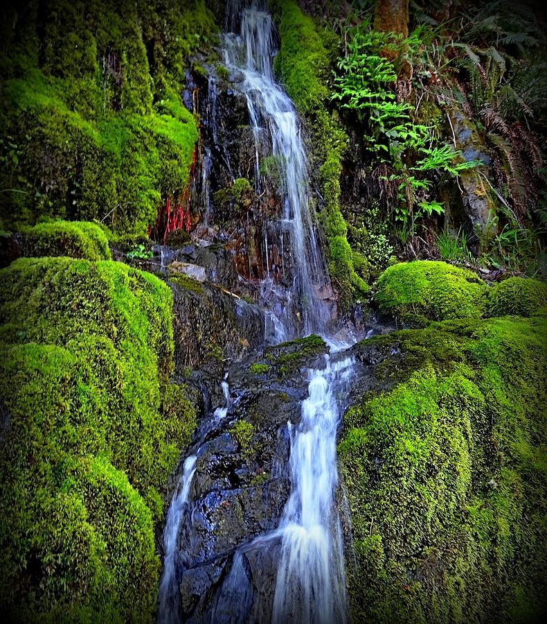Oregon Photograph - Mossy Falls by Nick Kloepping