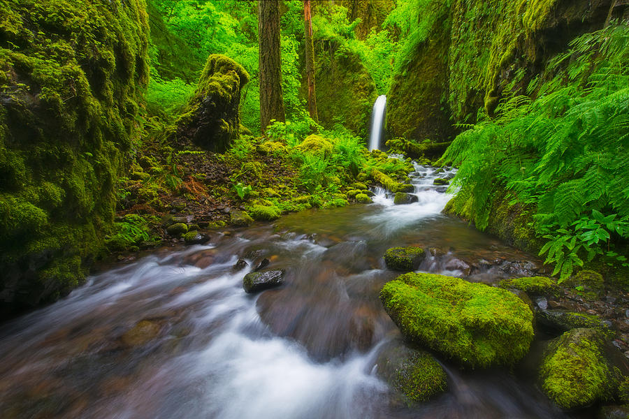 Waterfall Photograph - Mossy Grotto  by Joseph Rossbach