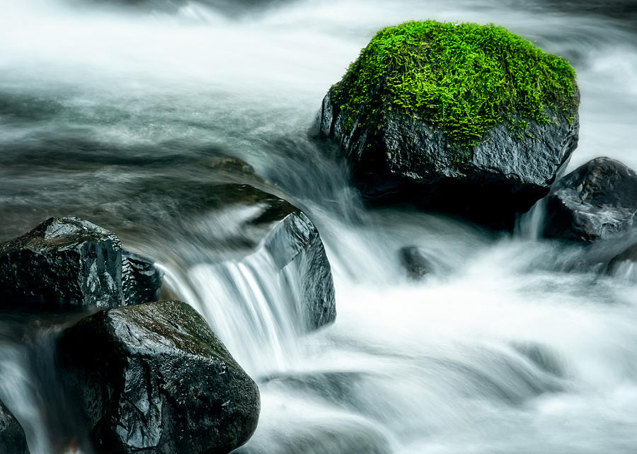 Mossy Rock Photograph by Brian Bonham