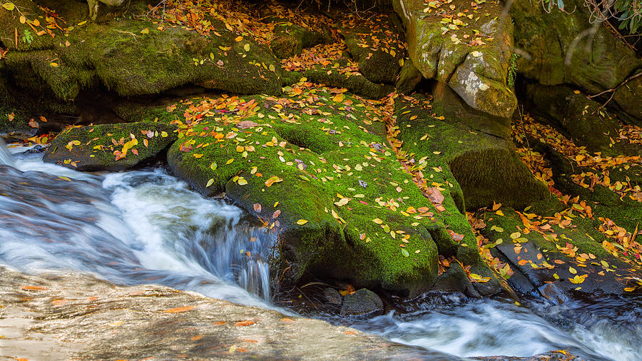 Fall Photograph - Mossy Rock by John M Bailey