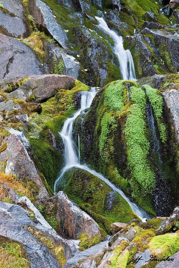 Mossy Waterfall at Snow Lake Photograph by Jeff Goulden