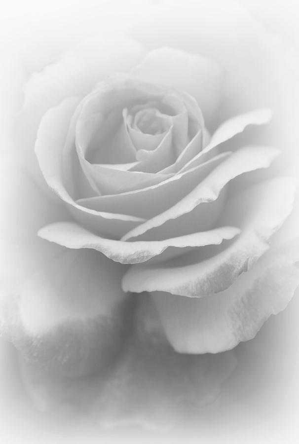 Black And White Photograph - Most Heavenly by The Art Of Marilyn Ridoutt-Greene
