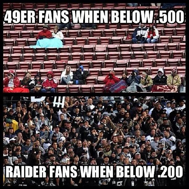 Most Loyal Fans In The Nfl! No Photograph by Carlos Sanchez