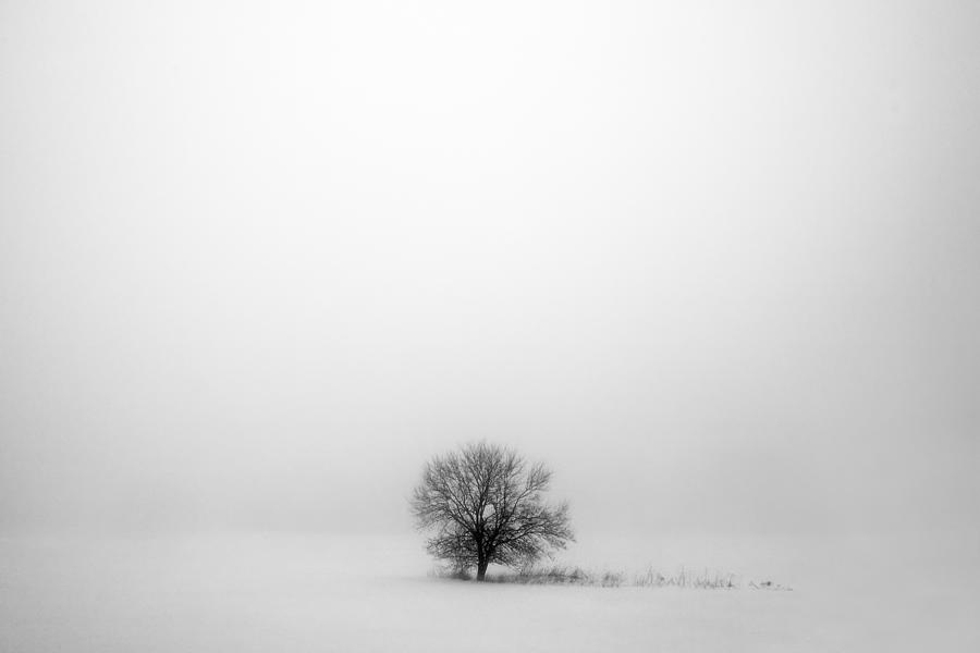 Winter Photograph - Mostly White by Todd Klassy