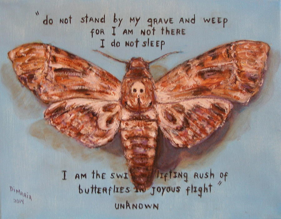 Moth #1 Painting by Donelli  DiMaria