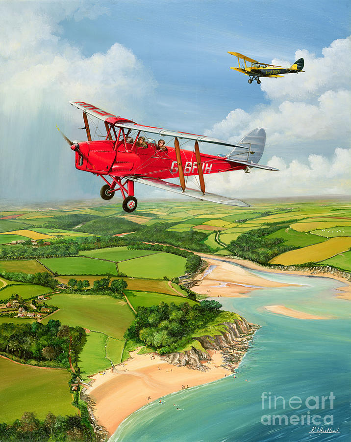 Airplane Painting - Mothecombe Moths by Richard Wheatland