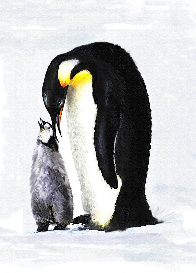 Mother And Baby Penguin Digital Art by Jane Schnetlage