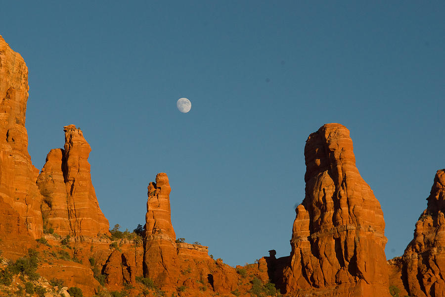 Mother and Child and Moon 27 Photograph by Douglas Barnett - Fine Art ...