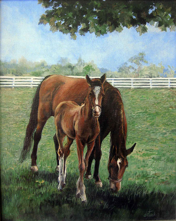 Mother and Colt Painting by Donna Tucker